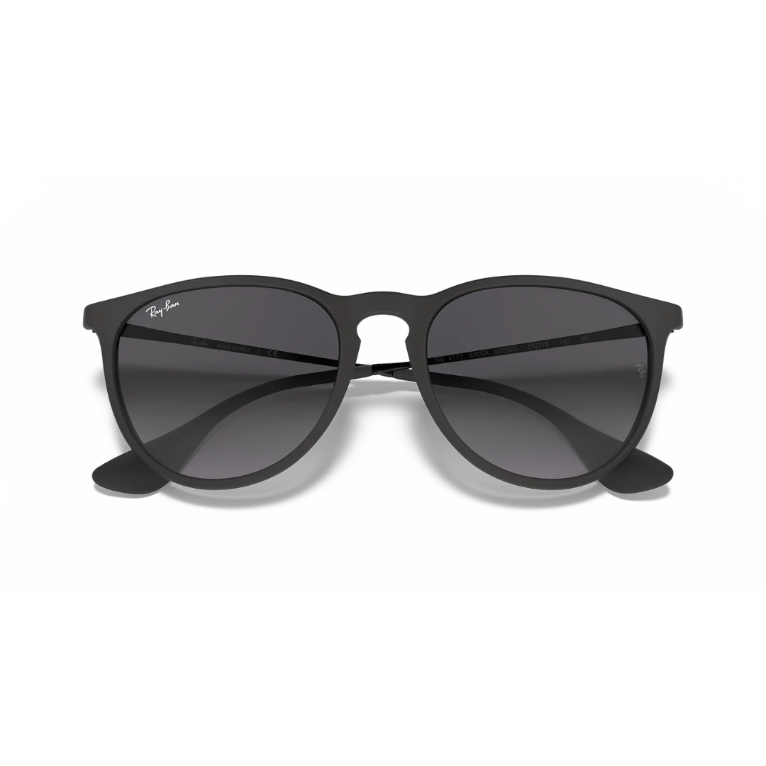 Ray-Ban Erika Classic